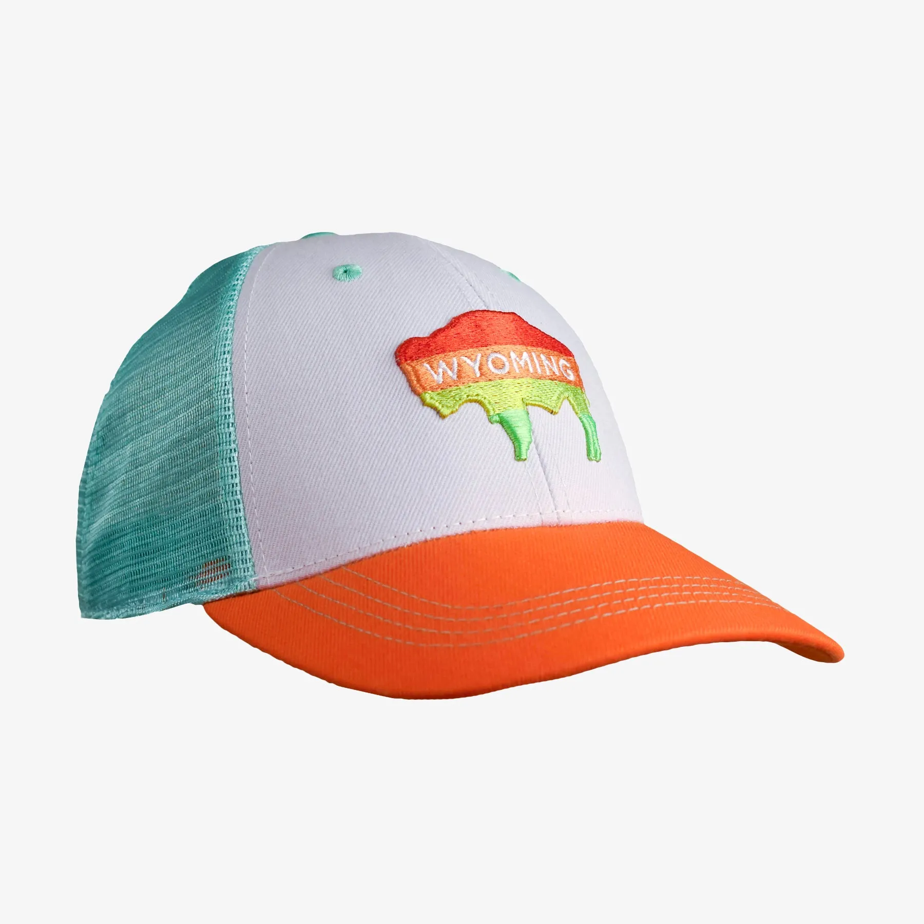 Low Pro Buffalo Horizons Wyoming Snapback Hat