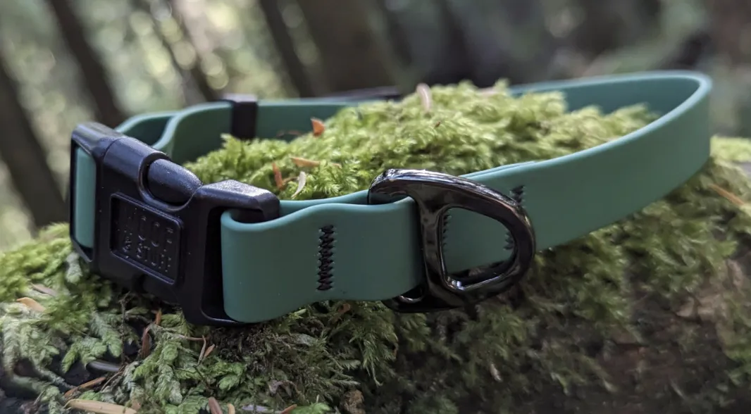 Woof & Stuff Pine Waterproof Collar